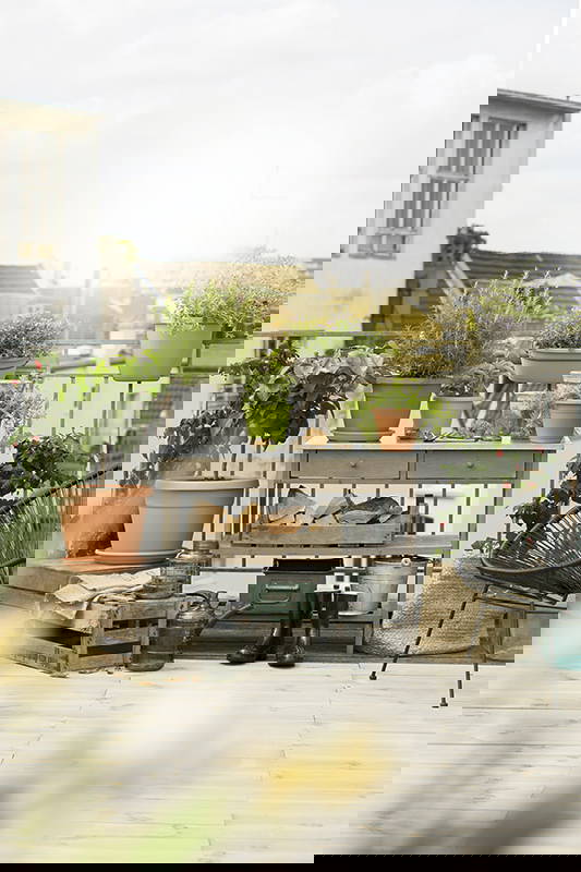 Blick auf einen Balkon mit Pflanzen in Töpfen, Gartenwerkzeugen, Holzscheiten und einem schwarzen Stuhl.