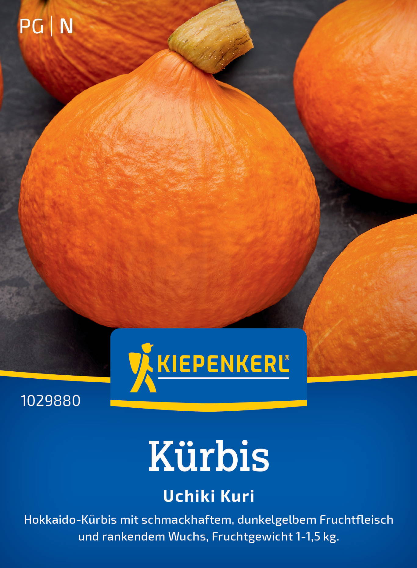 Kürbissamen Uchiki Kuri