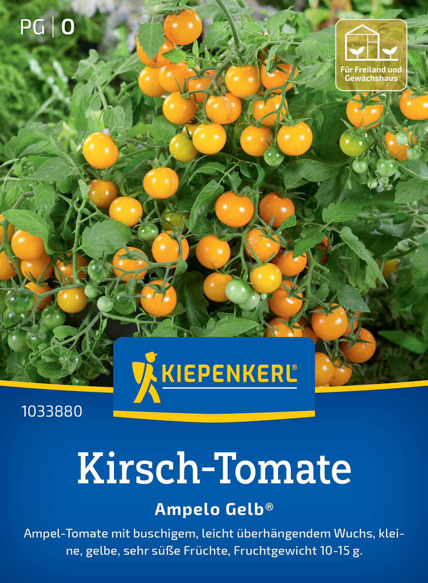 Kirsch-Tomatensamen Ampelo Gelb®, F1