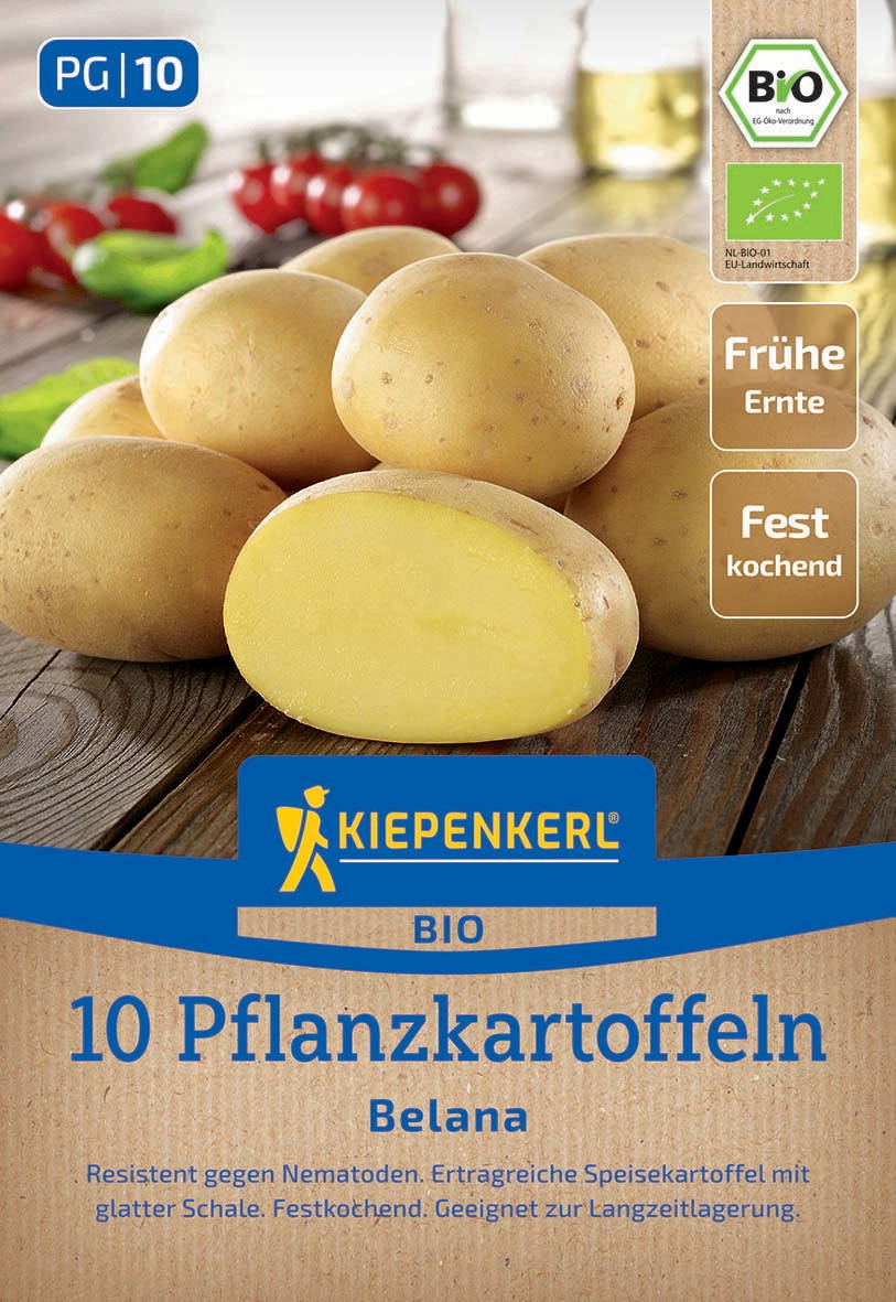 Mehrere glatte, gelbe Pflanzkartoffeln auf einem Holztablett, im Hintergrund Tomaten und Basilikum.