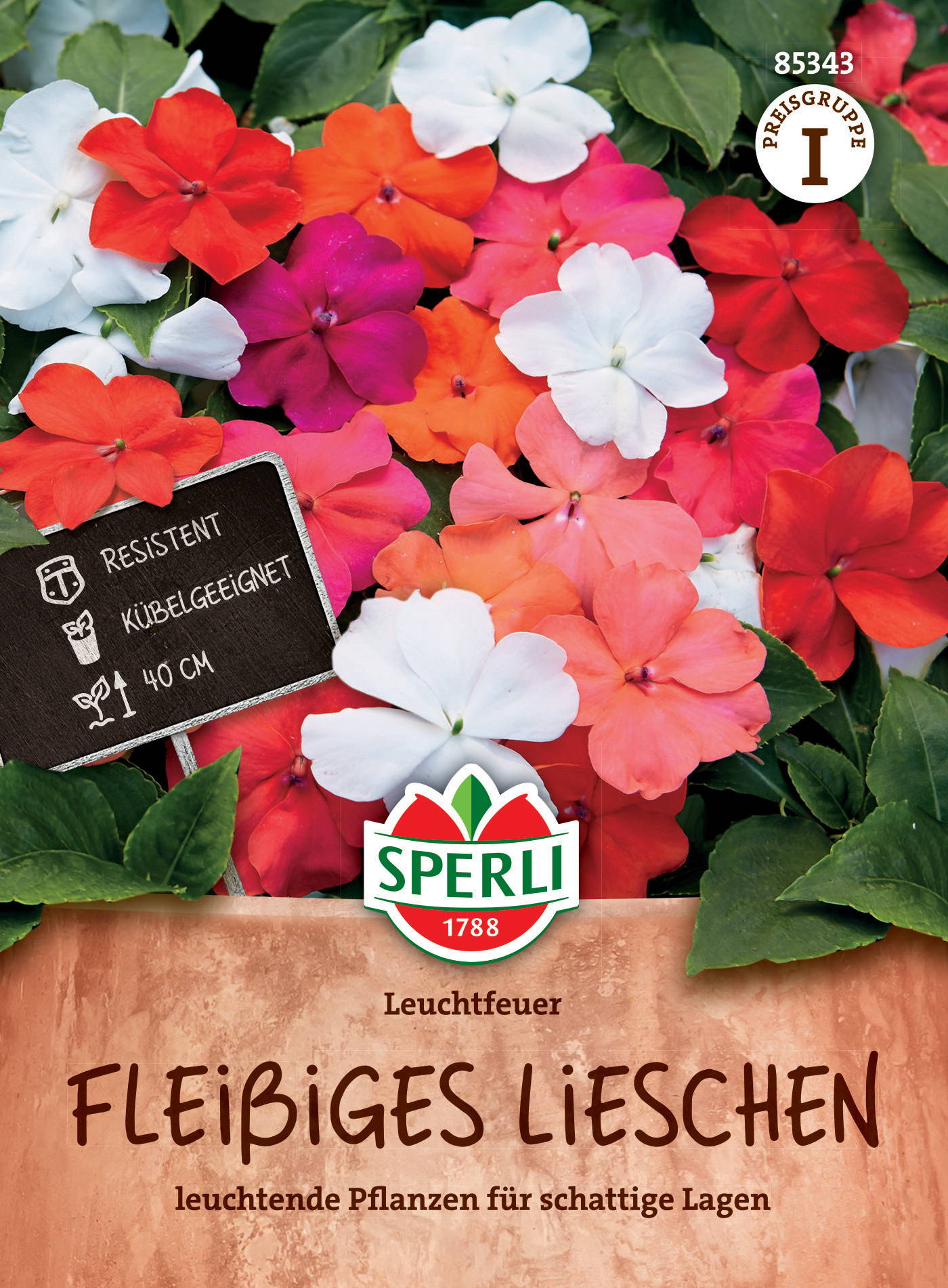 Bunte Impatiens in verschiedenen Farben, resistente Pflanze, 40 cm hoch, für schattige Lagen.