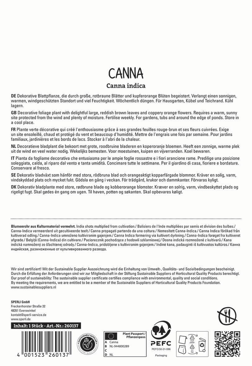 Text displaying descriptions of a decorative Canna plant in six languages and certification, barcode, and recycling symbols.