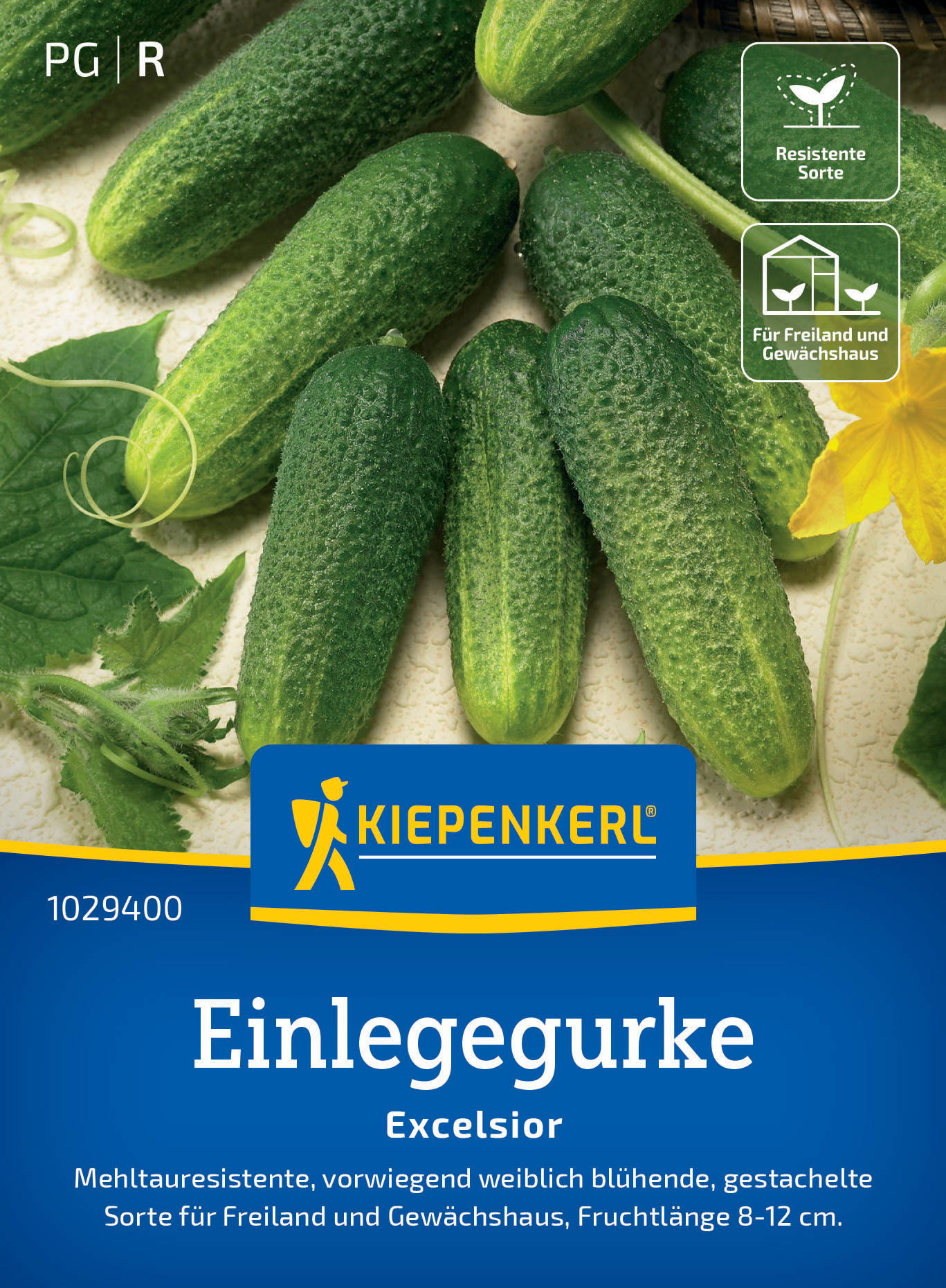 Einlegegurkensamen Excelsior, F1