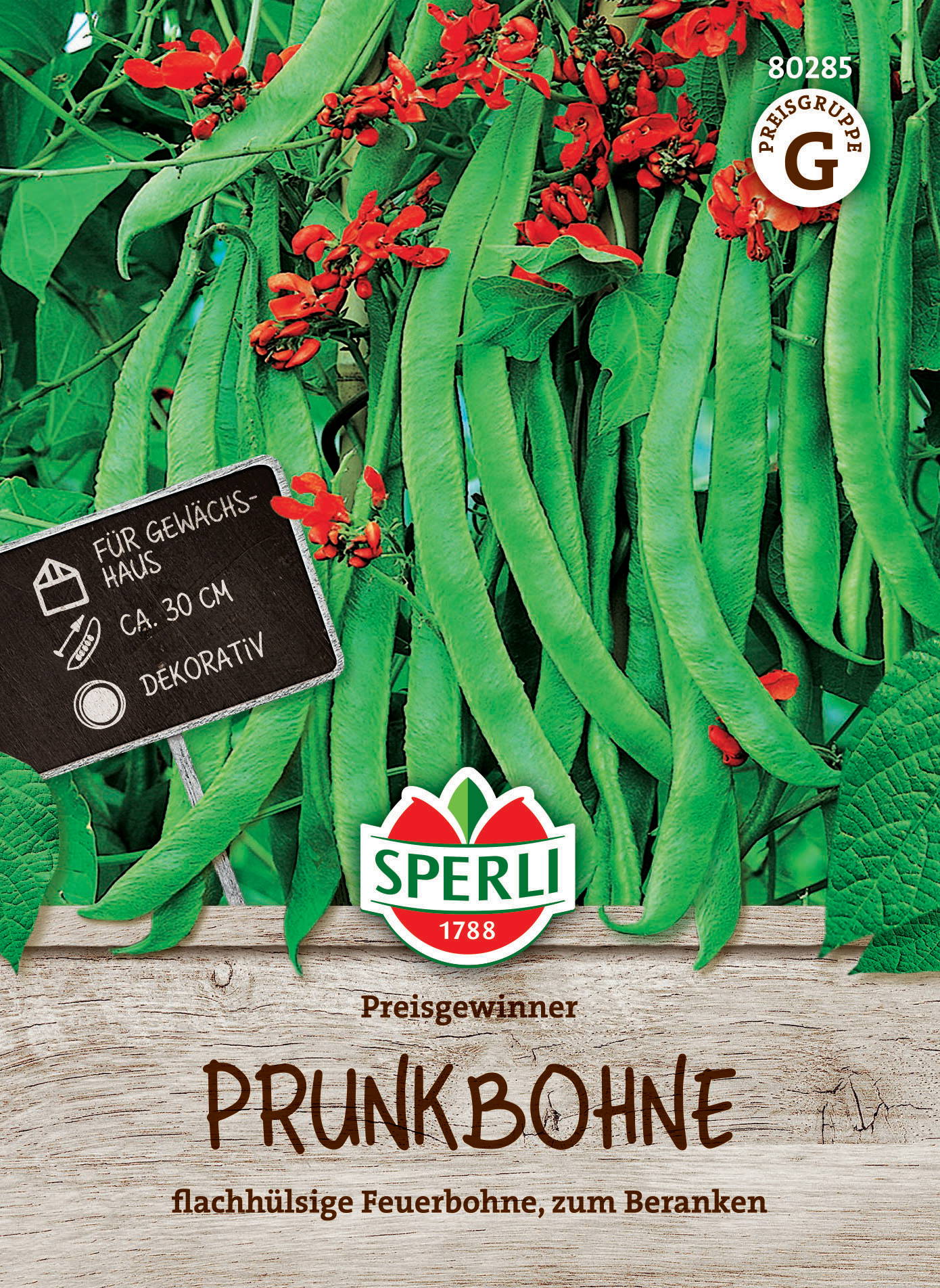 Prunkbohne mit länglichen grünen Schoten und roten Blüten vor Holzdekoration, Pflanze in Erde.