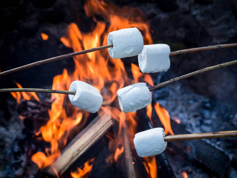 Marshmallows auf Stöcken über offenem Feuer zum Rösten.
