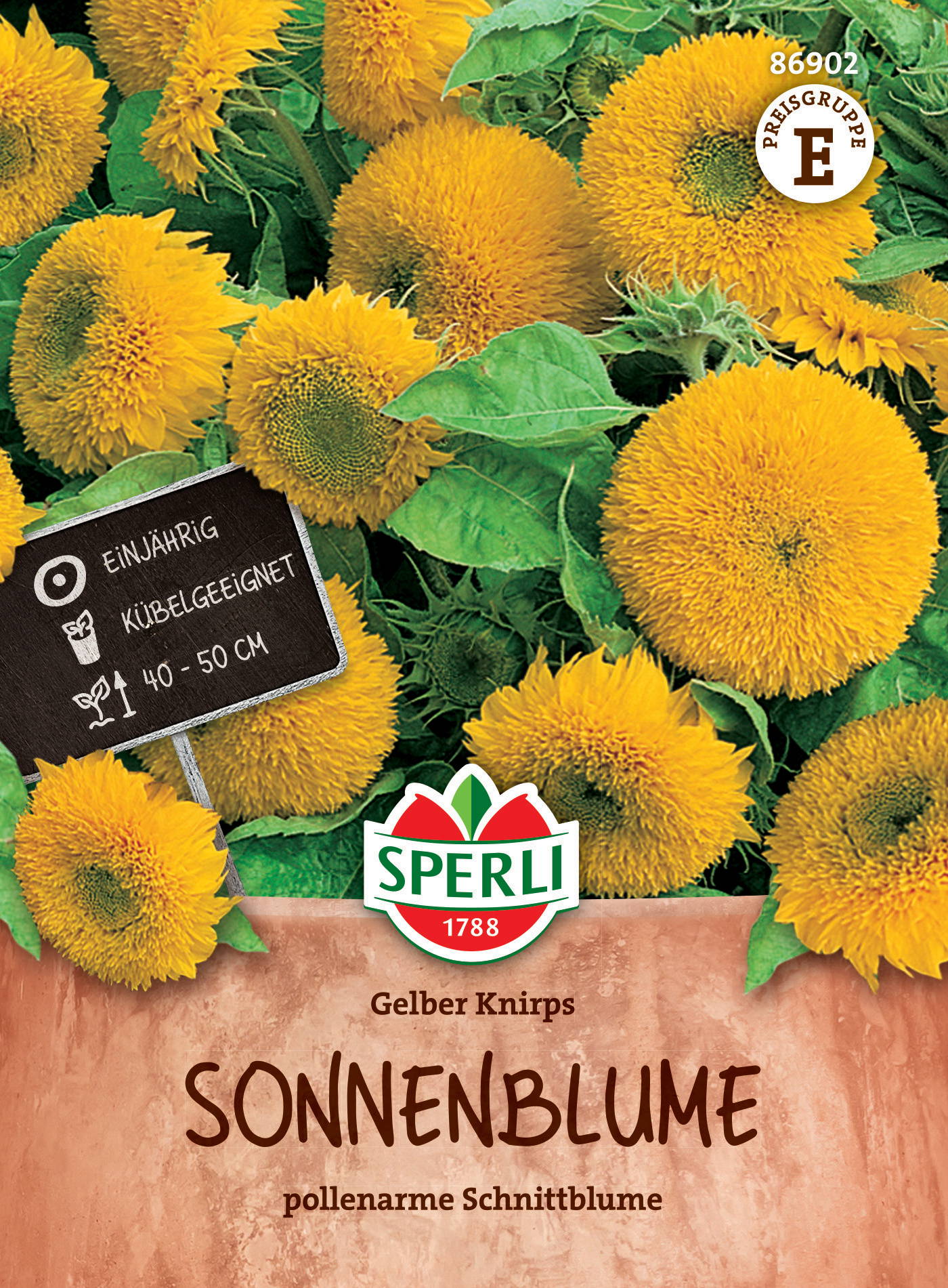 Sonnenblumensamen Gelber Knirps, F1