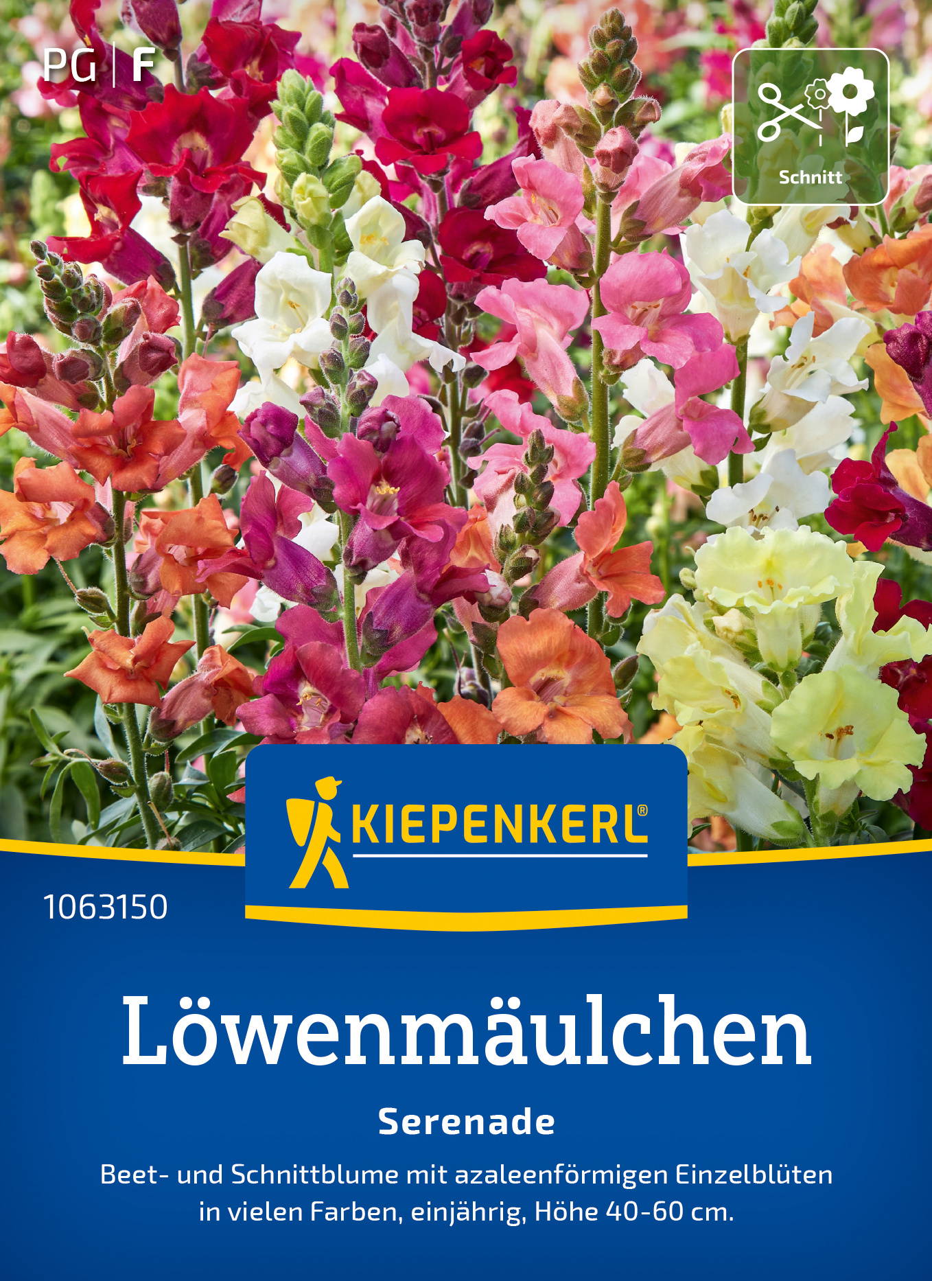 Löwenmäulchensamen Serenade