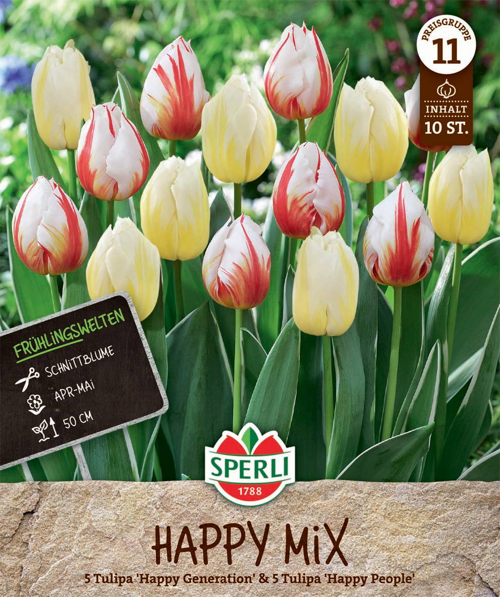Frühlingsgarten Happy Mischung