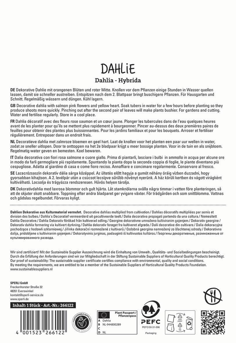 Dahlie mit orangen Blüten, gelber Herz, Knollen im Wasser, geschrieben in mehreren Sprachen, diverses Symbole und QR-Code.