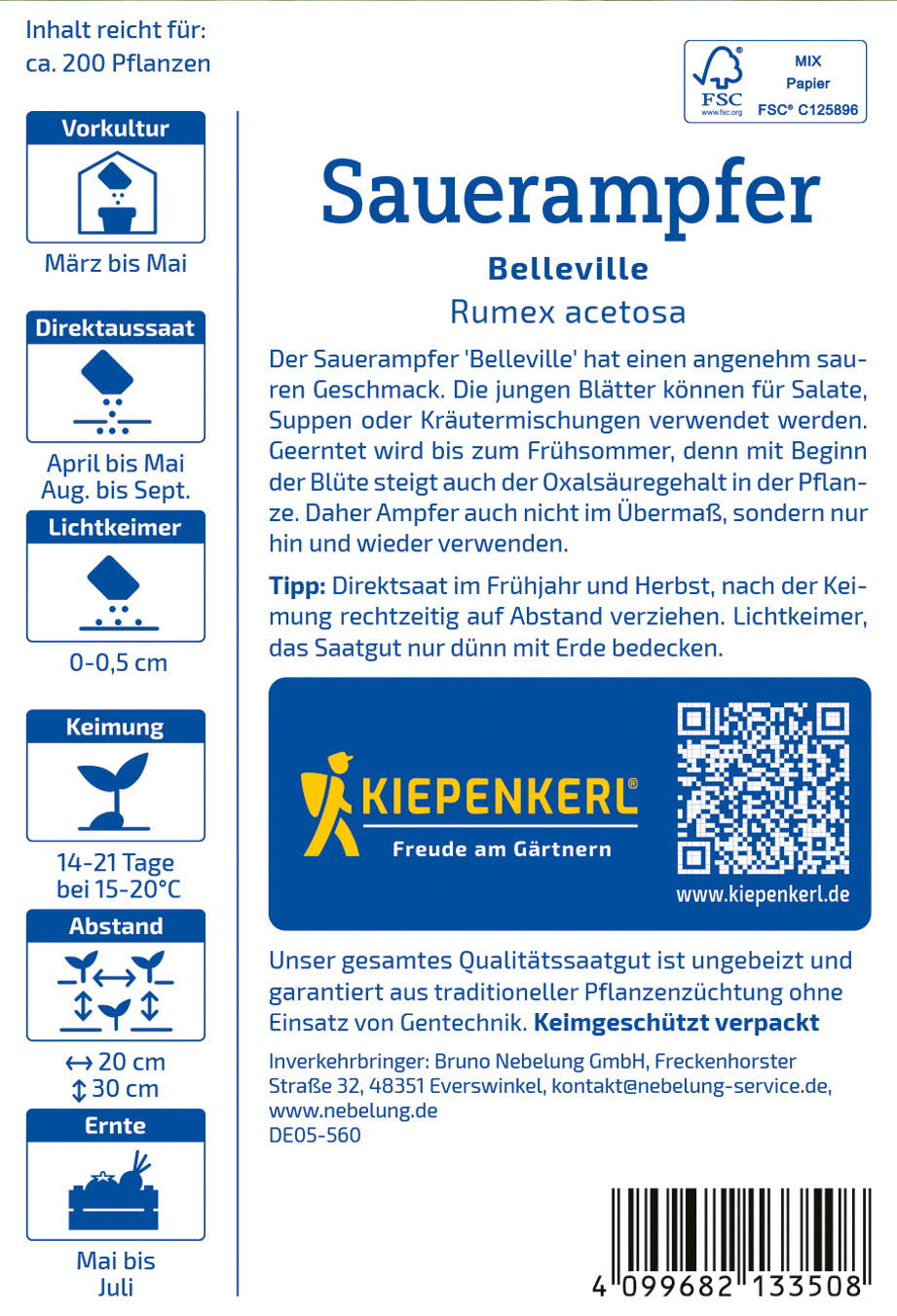 Sauerampfer Belleville Rumex acetosa, junge Blätter, geeignet für Salate, Suppen und Kräutermischungen.