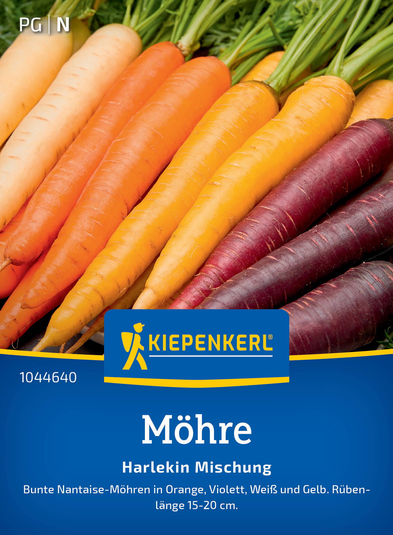 Bunte Möhren in Orange, Violett, Weiß und Gelb mit grünen Blättern, länglich, 15-20 cm lang.
