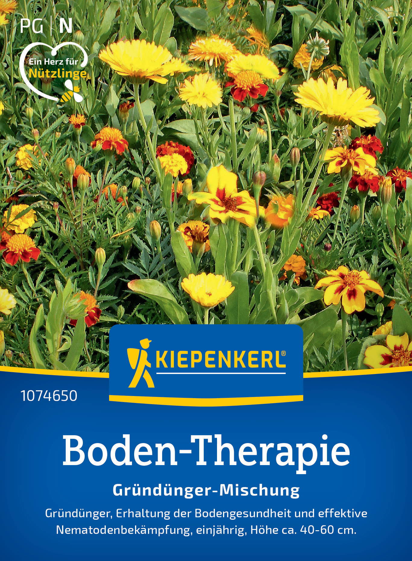 Bild von gelben und roten Blumen in einem Beet.