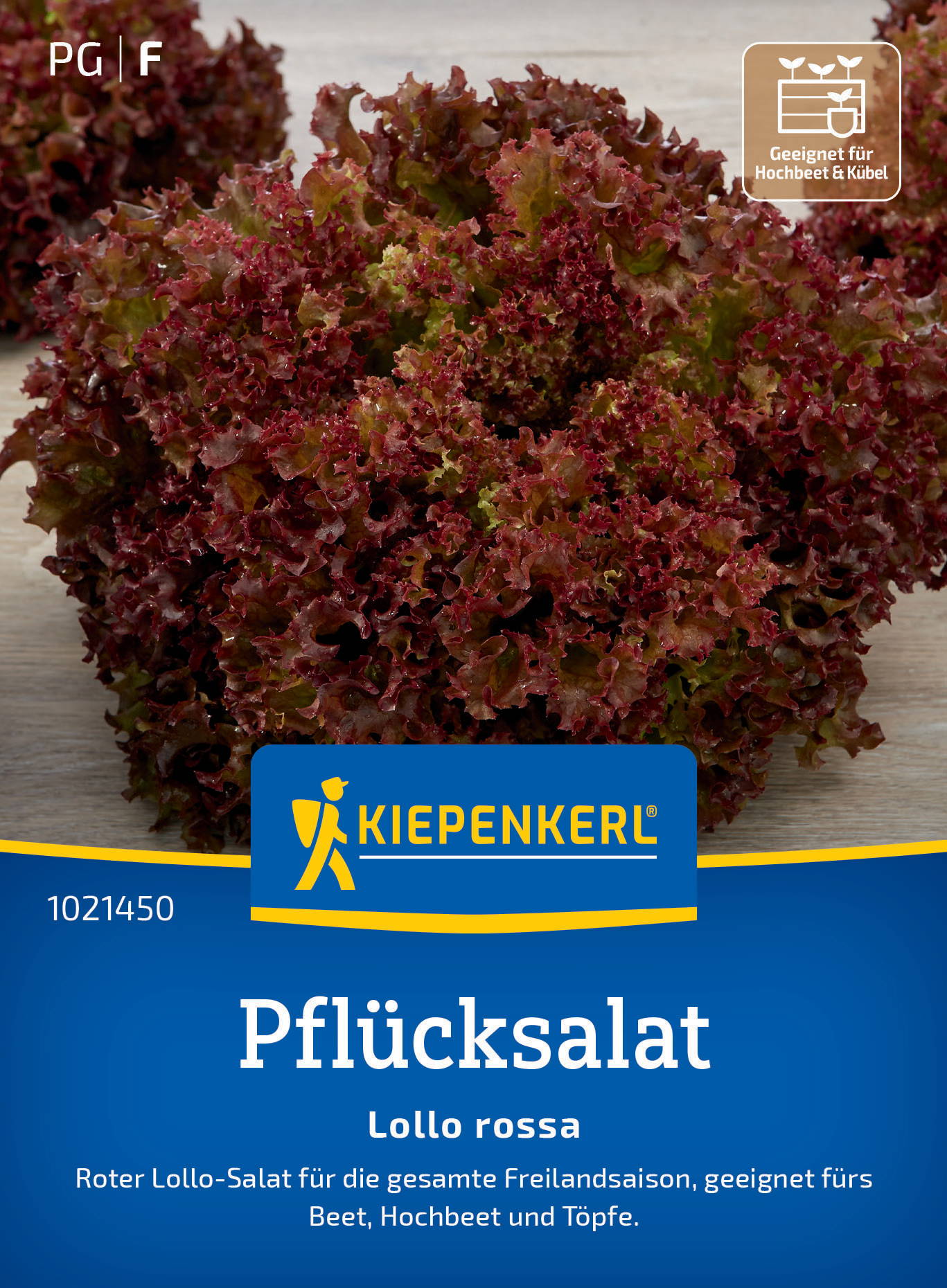 Roter Blattsalat mit lockigen Blättern, auf Verpackung, mit Kiepenkerl-Logo und Text.