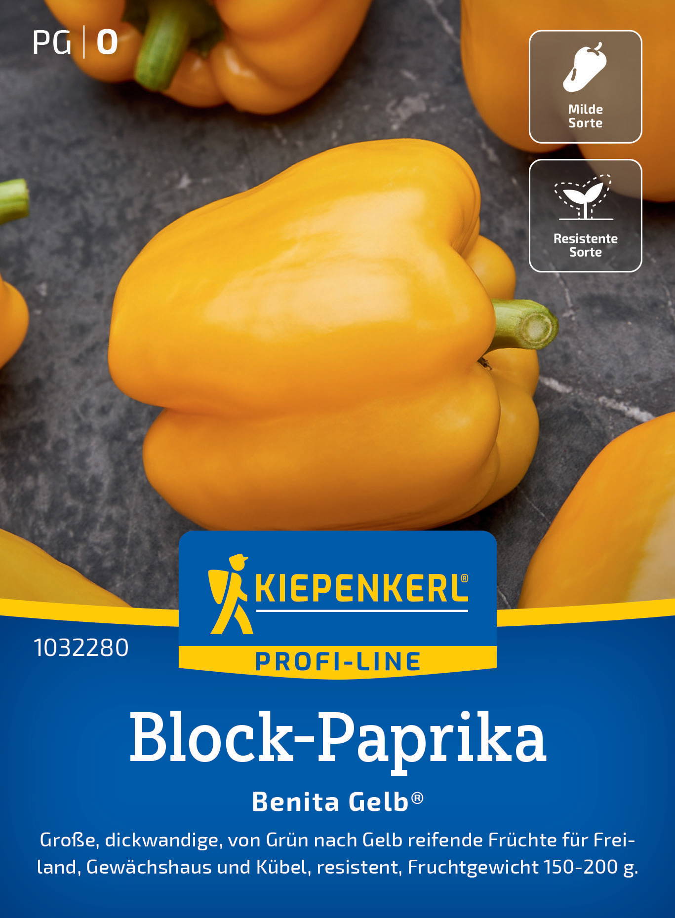 Große, gelbe Block-Paprika mit grüner Spitze, auf grauem Hintergrund.