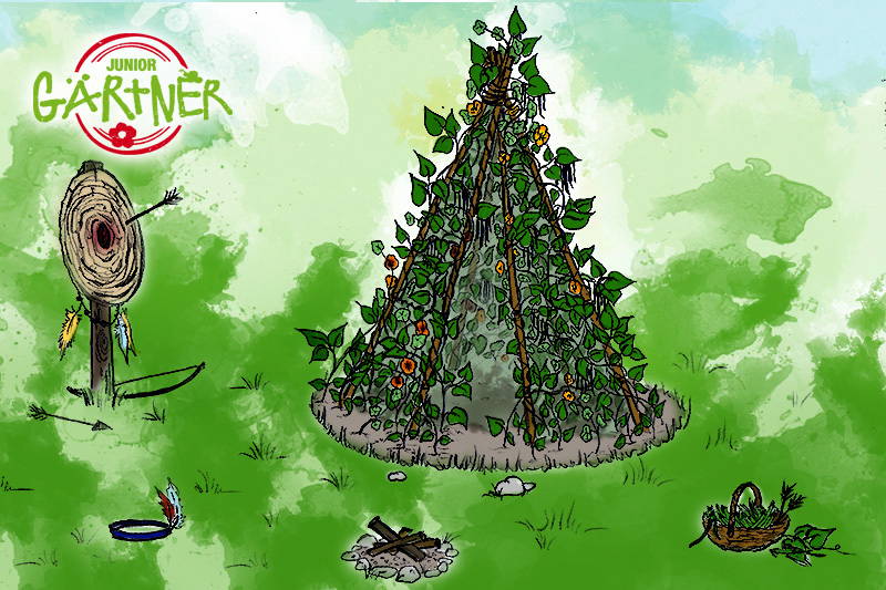 Kleiner Baum mit Kletterpflanzen und Vogelhaus, Feuerstelle, Korb mit Zweigen, Insekten und Blumen auf Wiese