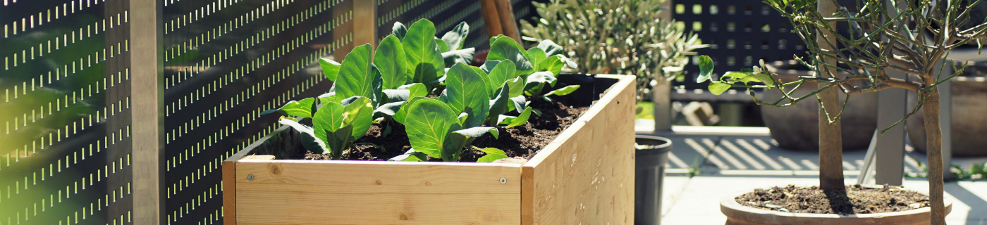 Urban Gardening Hintergrundbild