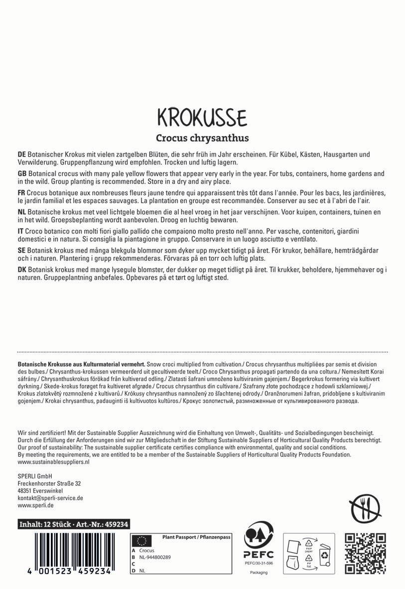 Botanischer Krokus mit gelben Blüten, früh im Jahr blühend, für Beete und Steingärten, trockene, luftige Plätze.