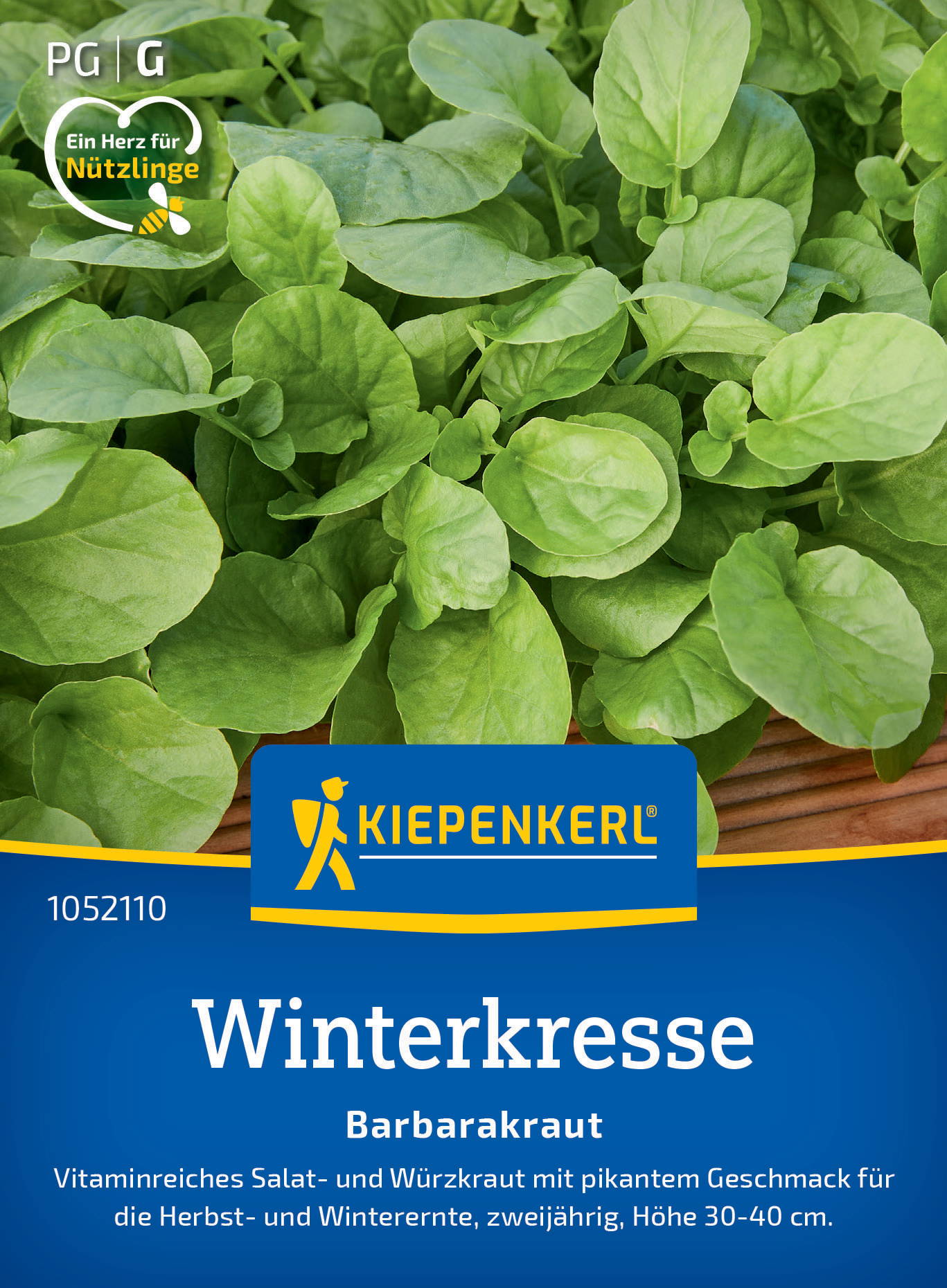 Grüner Barbakraut mit runden Blättern, auf einem Pflanzensamenpaket der Marke Kiepenkerl.