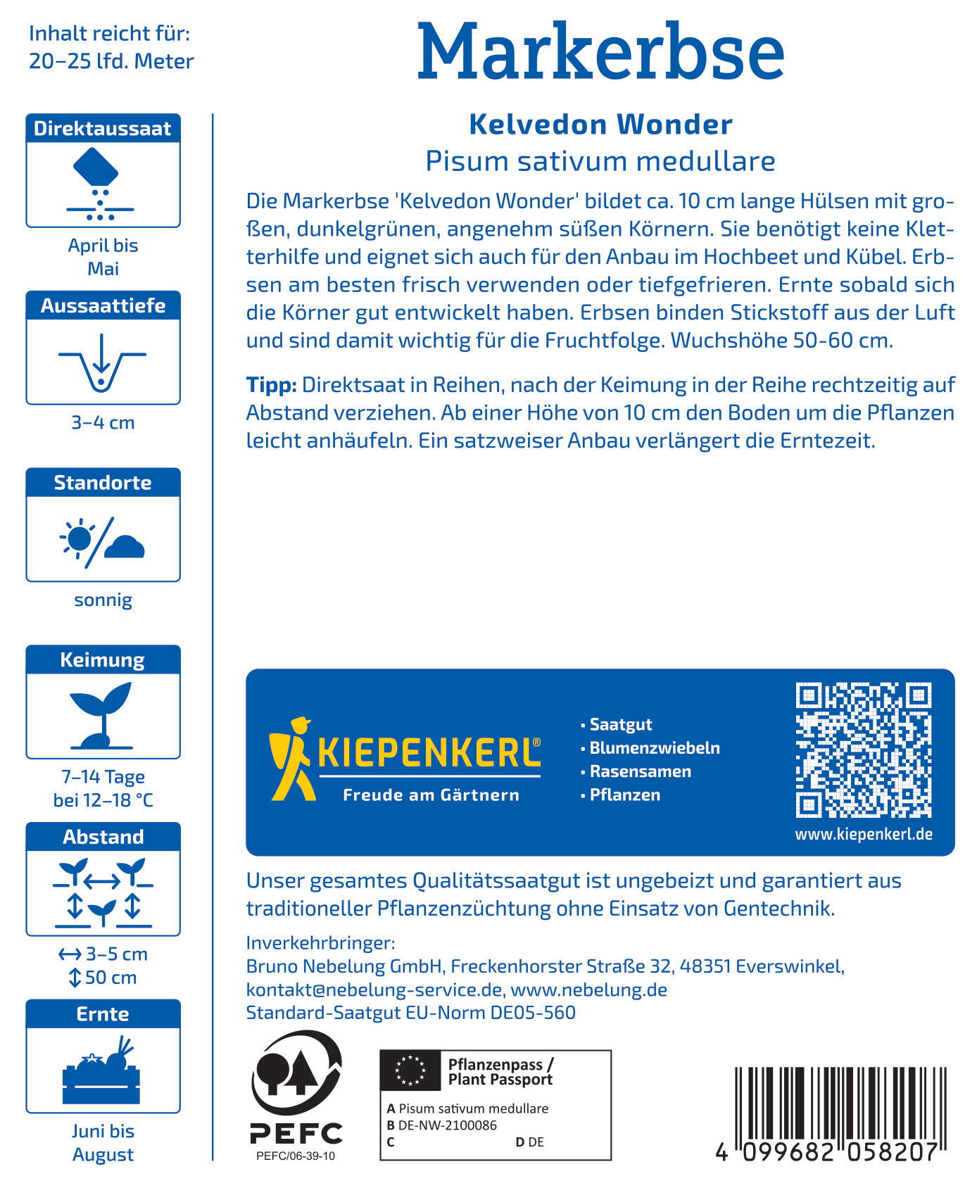 Gelbe, gekräuselte Zwiebelknollen, ca. 10 cm lang, auf weißem Hintergrund.