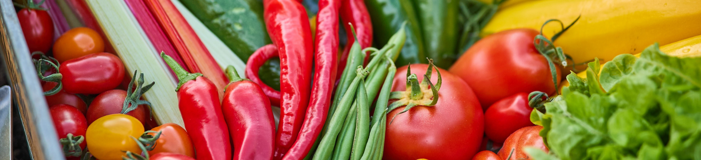 Verschiedene frische Tomaten, Paprika, Chilis, Gurken, Zucchini und Salat auf einem Marktstand.