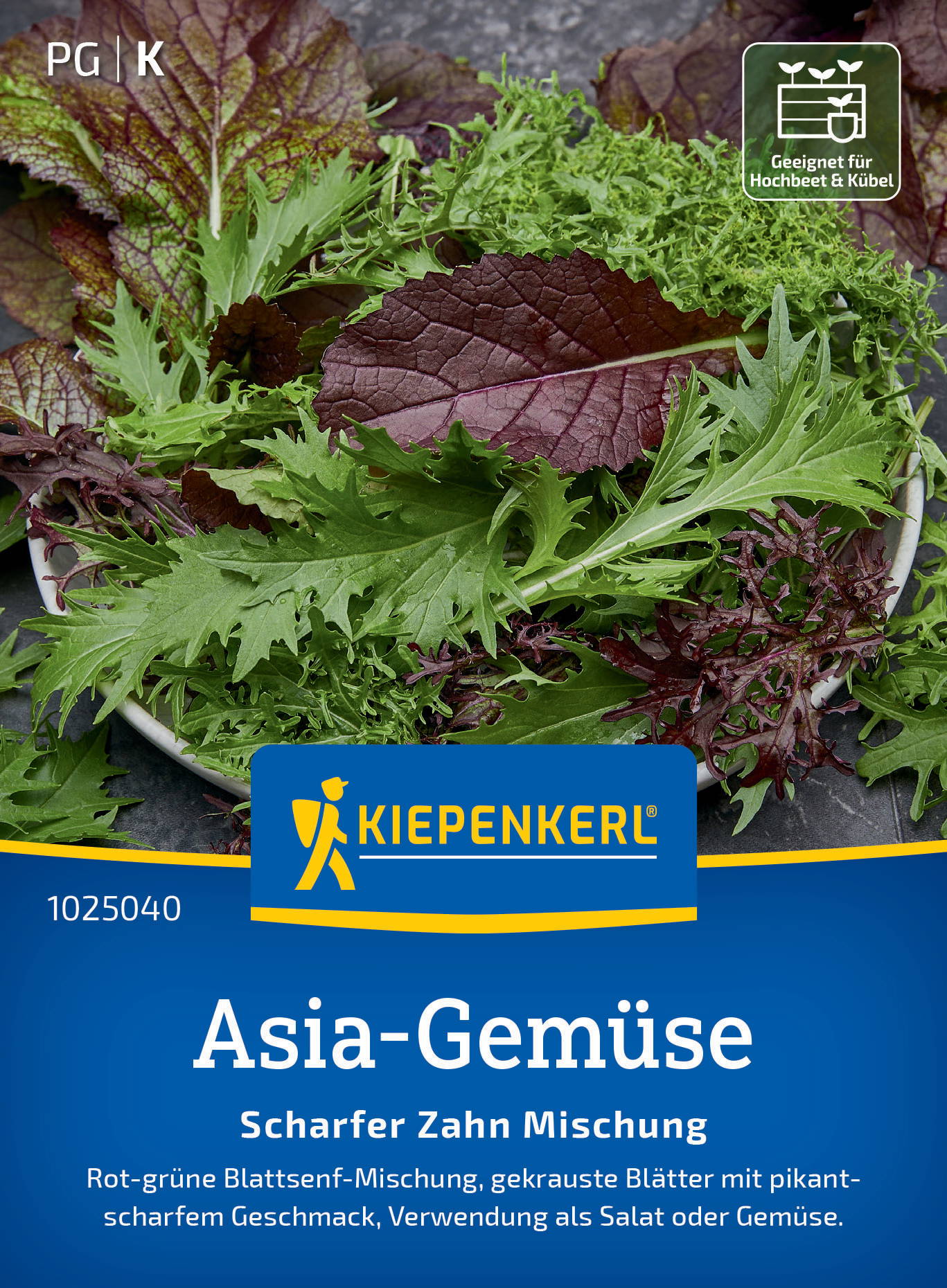 Verschiedene grüne und rote Blattsalate auf einem weißen Teller.