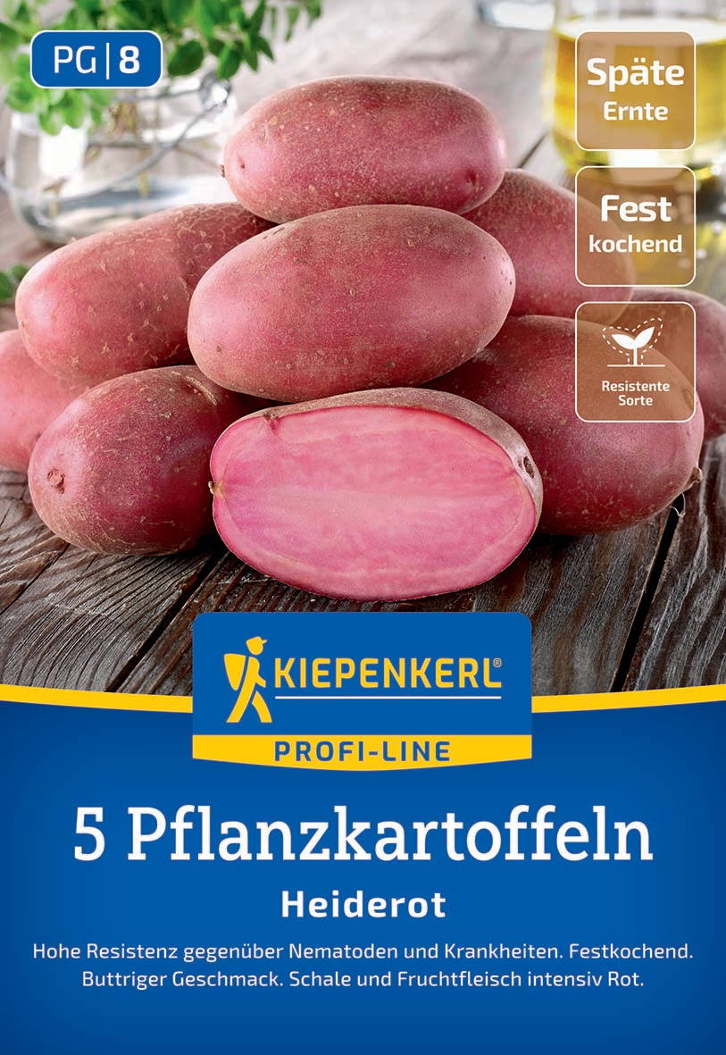 Rote Kartoffeln mit glatter Schale, einige sind rund, eine halbiert zeigt rosa Innenseite, auf Holzuntergrund.