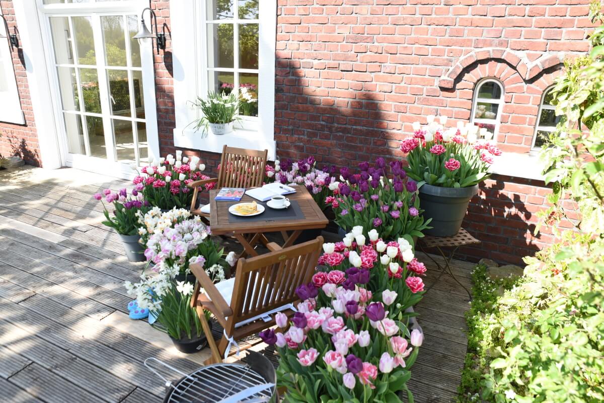 Garten im Sonnenschein mit Tisch, Stühlen und Tulpen in Blumentöpfen vor einem roten Backsteinhaus.