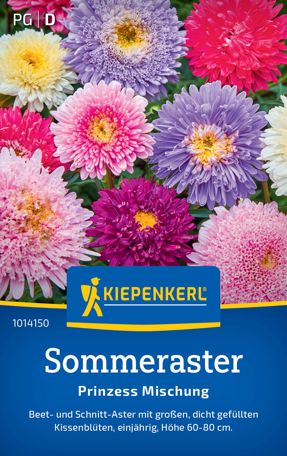 Bunte Blumenmischung mit großen, gefüllten Kissenblumen, 60-80 cm hoch, für Sommerbeet und Schnitt.