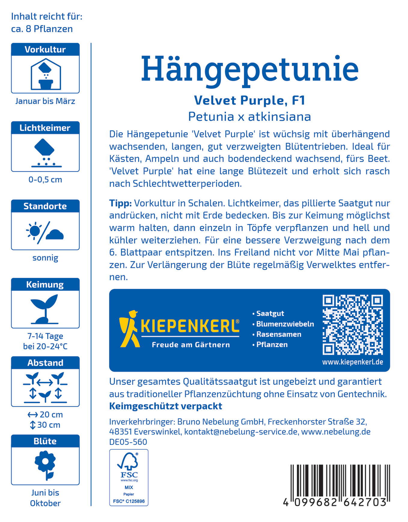 Pflanzanleitung für Hängetetunie Velvet Purple, Petunia x atkinsiana, blühend, längliche Blätter, topf- und kastenbereit.