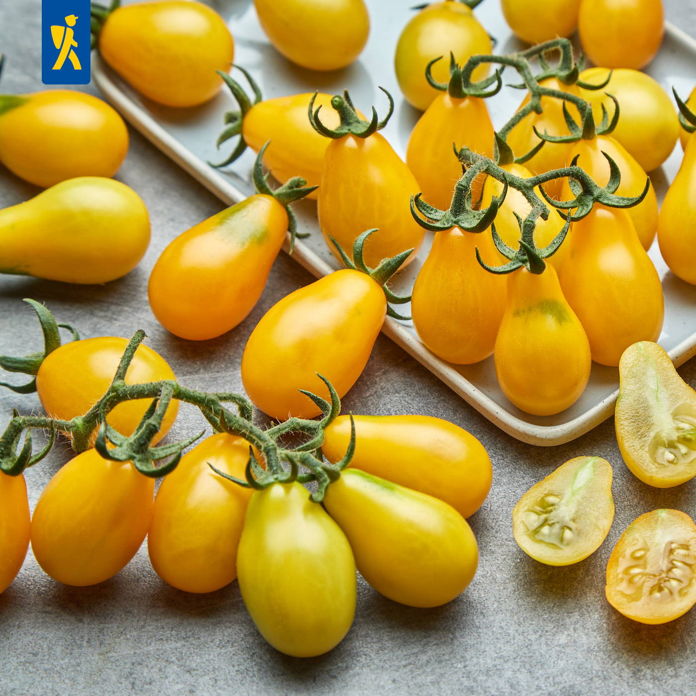 Gelbe Tomaten mit grünen Stielen auf einer weißen Platte und auf einer grauen Oberfläche, einige halbiert.
