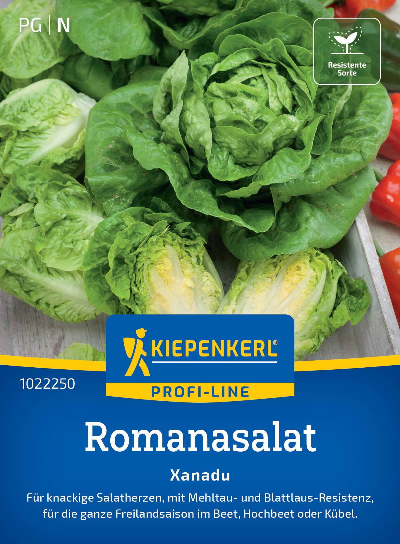 Romanasalatsamen Xanadu