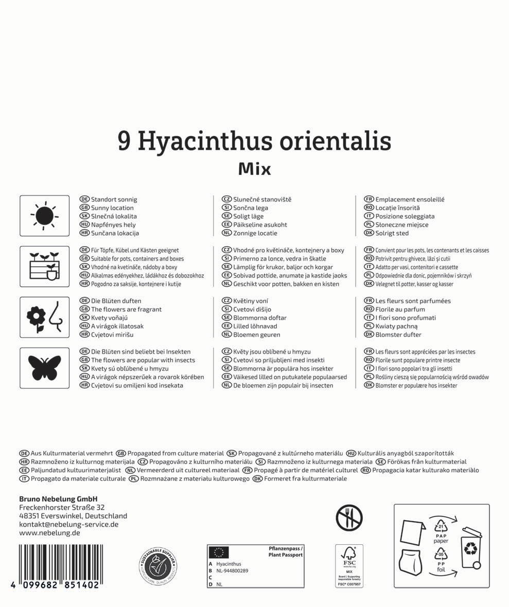 Yucca-plant, mehrere Gräser, Steckling und Topf, auf weißem Hintergrund.