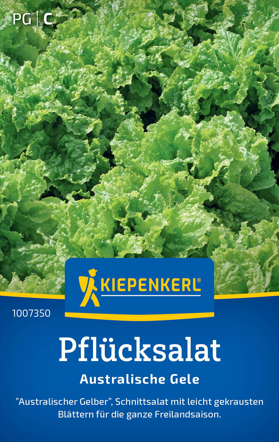 Pflücksalatsamen Australische Gele