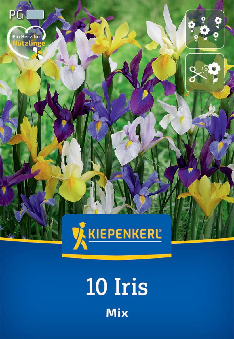 Bunte Irisblumen in verschiedenen Farben vor grünem Grasland.