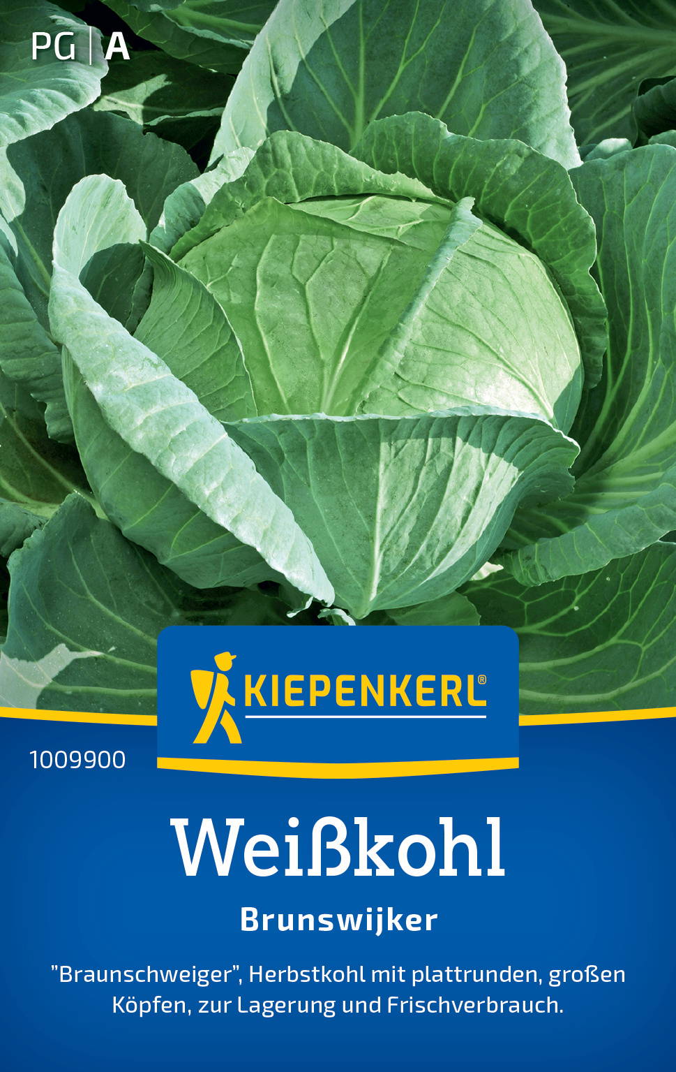 Weißkohlsamen Brunswijker