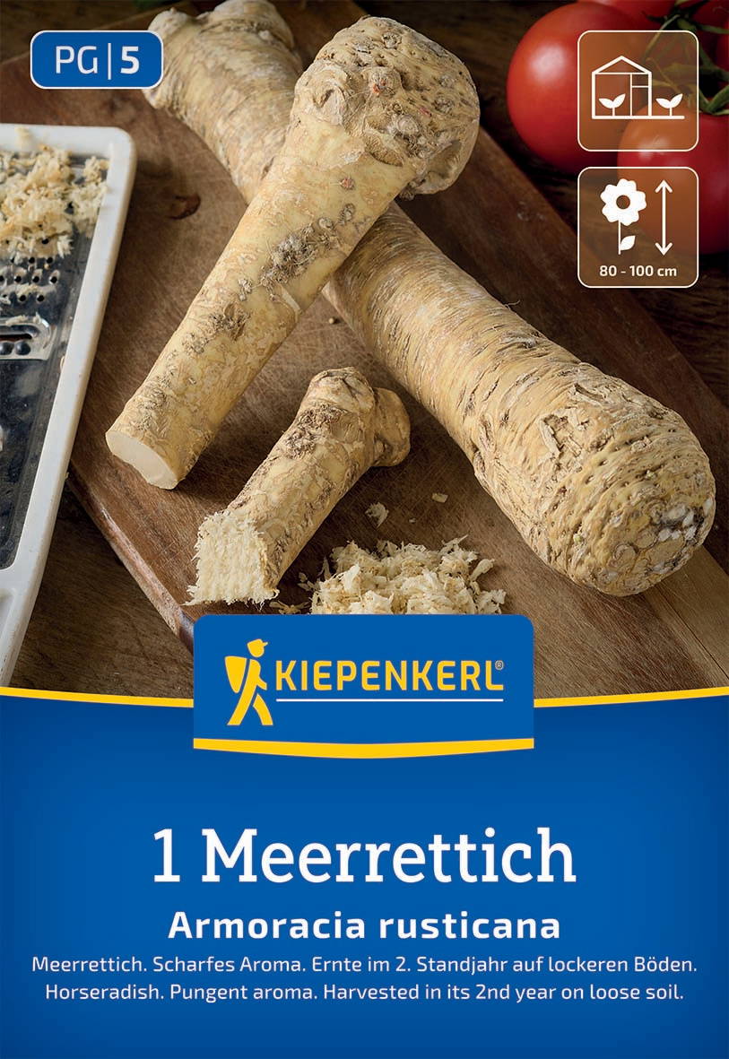 Wurzelknolle des Meerrettichs neben einer Kasse und Tomaten auf einem Holzbrett.