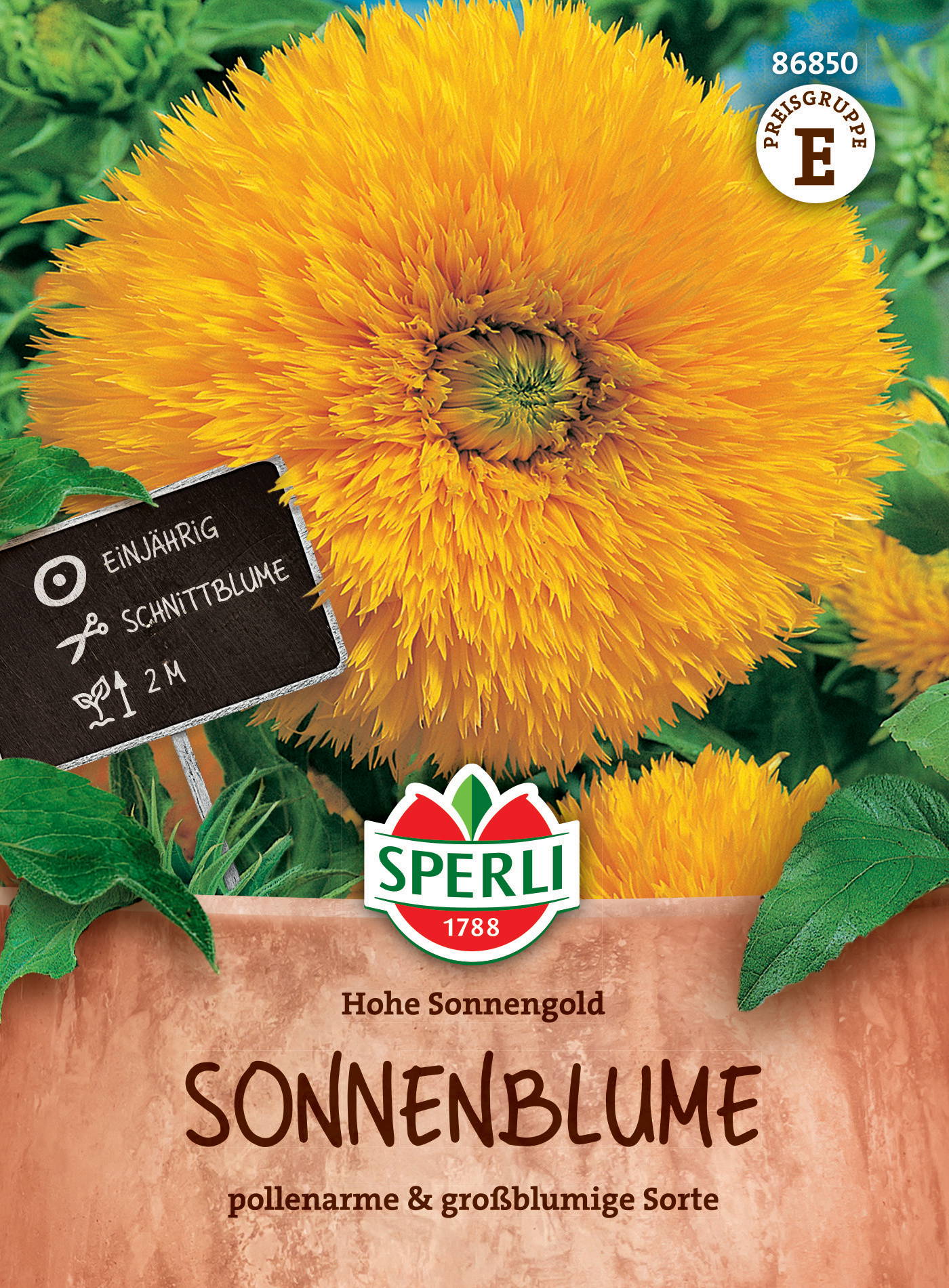 Sonnenblumensamen Hohe Sonnengold