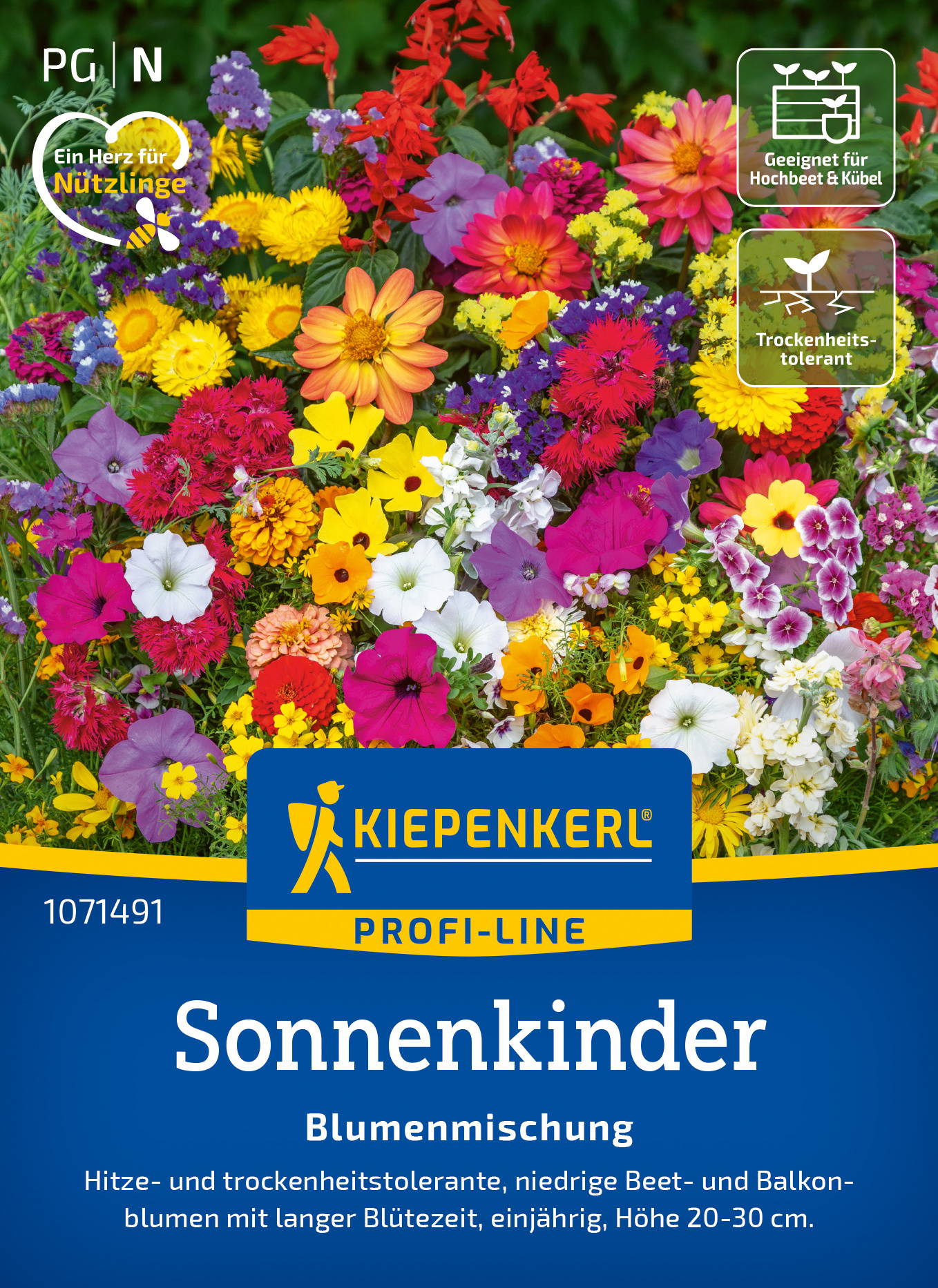 Bunte Blütenmischung mit Sonnenblumen, Petunien, Marigolds, Zinnien, Verbena, und andere Blumen in verschiedenen Farben.