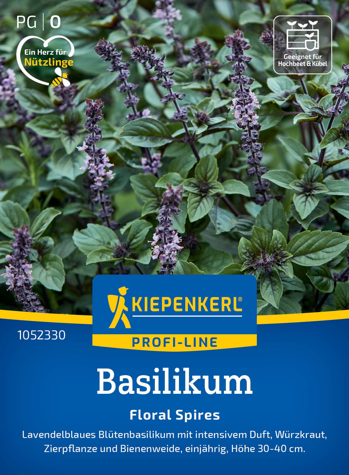 Basilikumsamen Floral Spires Lavendelblau