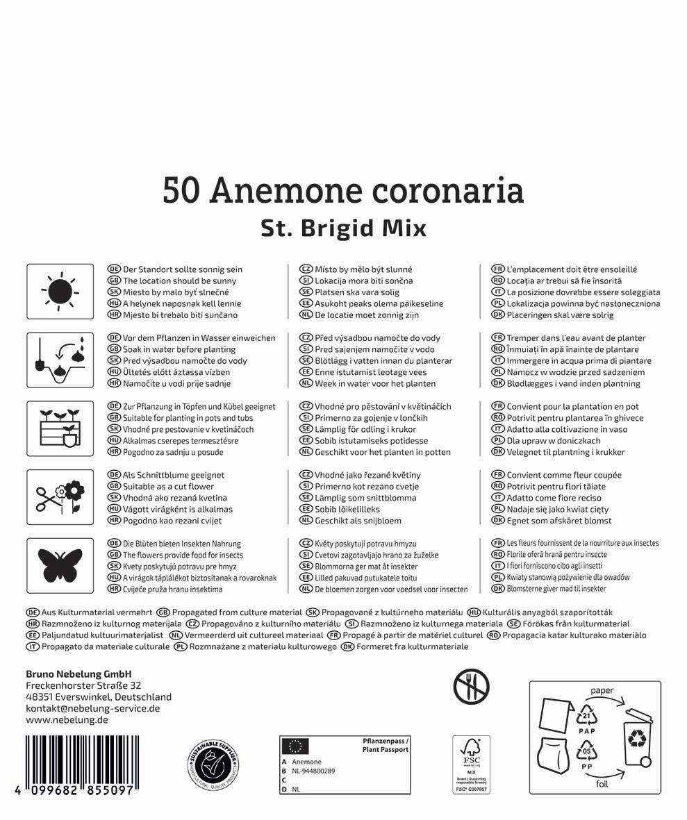 50 Anemone coronaria St. Brigid Mix, mit botanischen Beschreibungen in mehreren Sprachen und Symbolen.