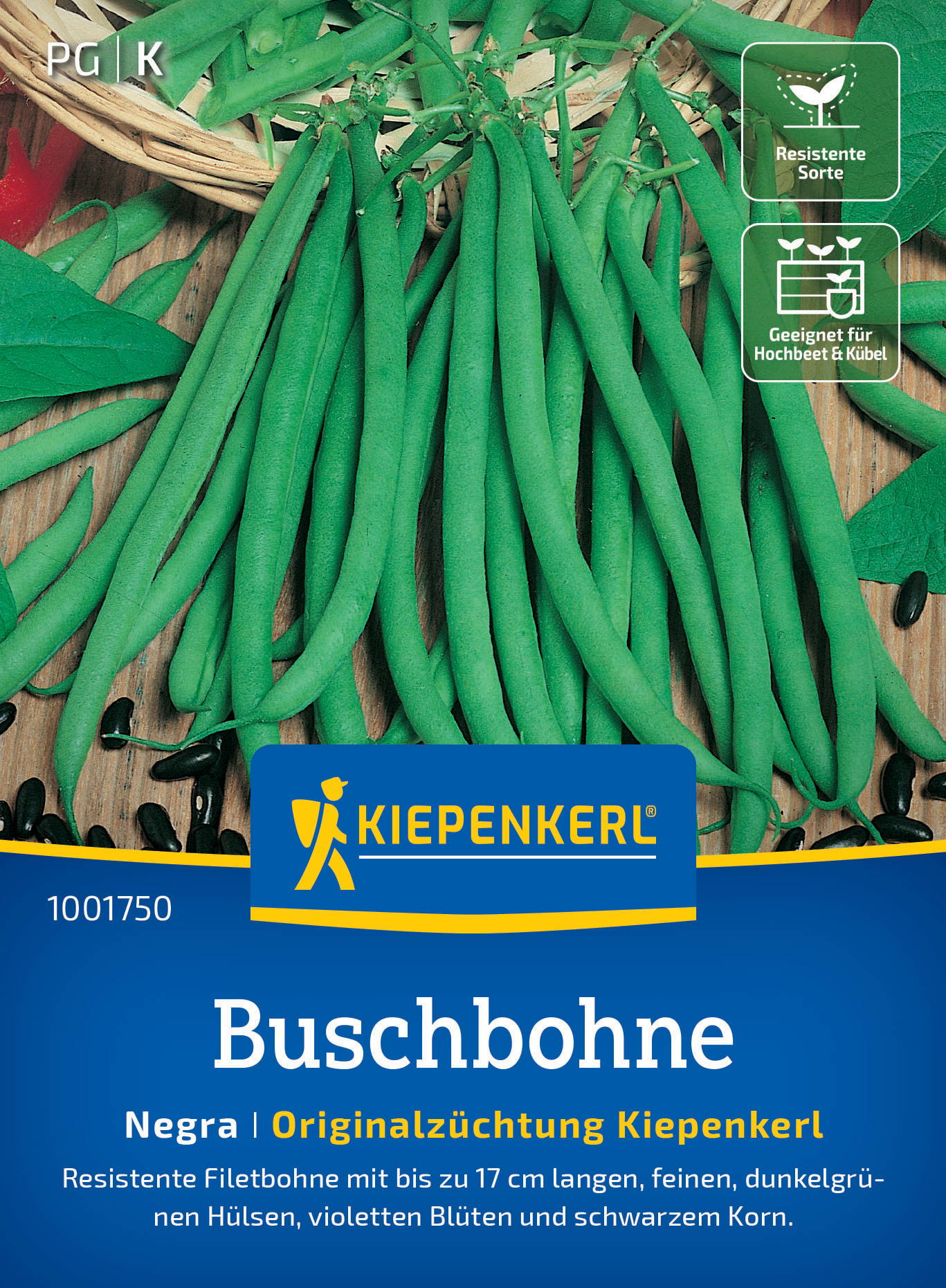 Buschbohnensamen Negra