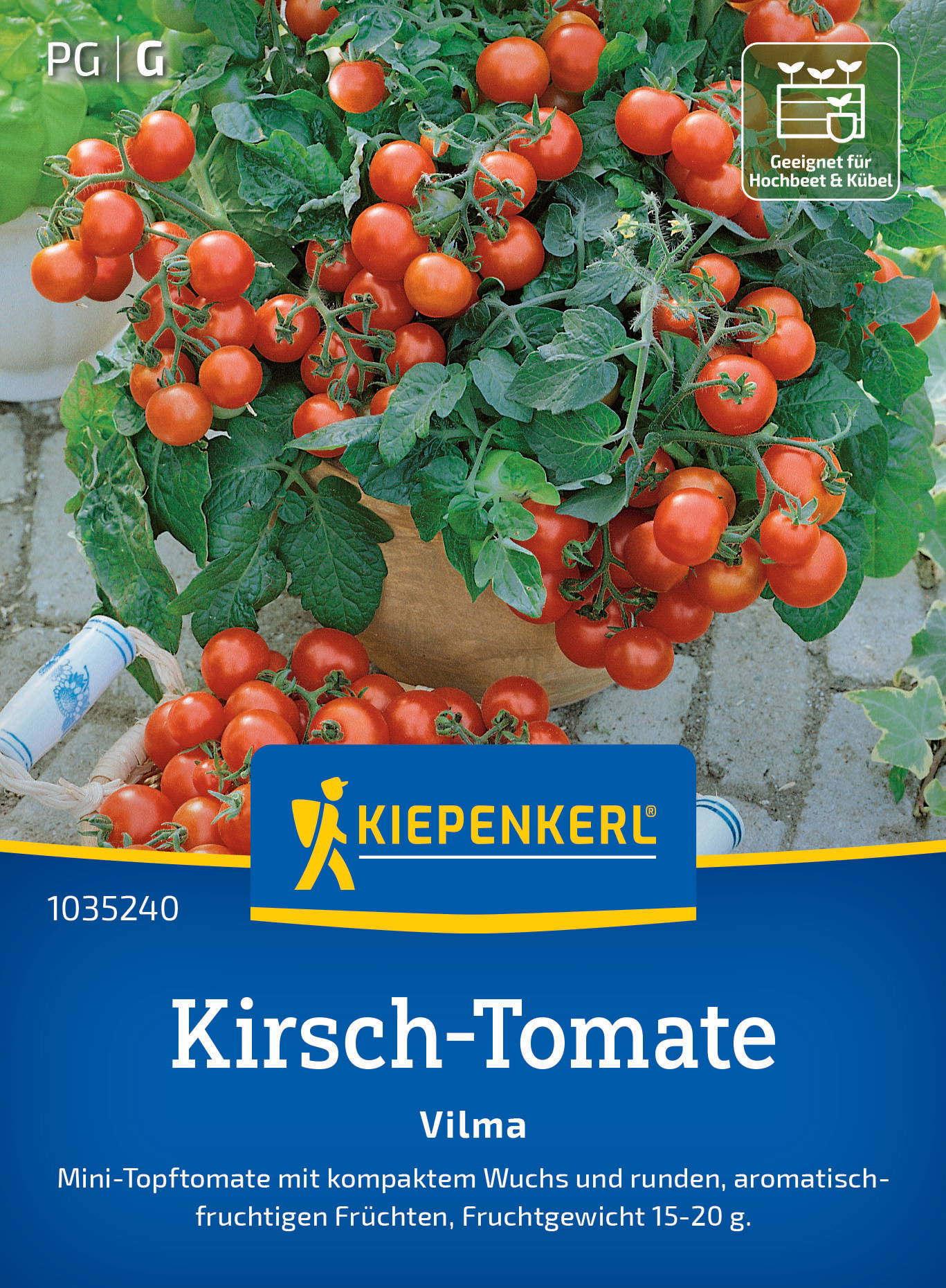 Rote Kirsch-Tomaten an Pflanzen, in einem Tontopf, liegen auf einem Pflaster.