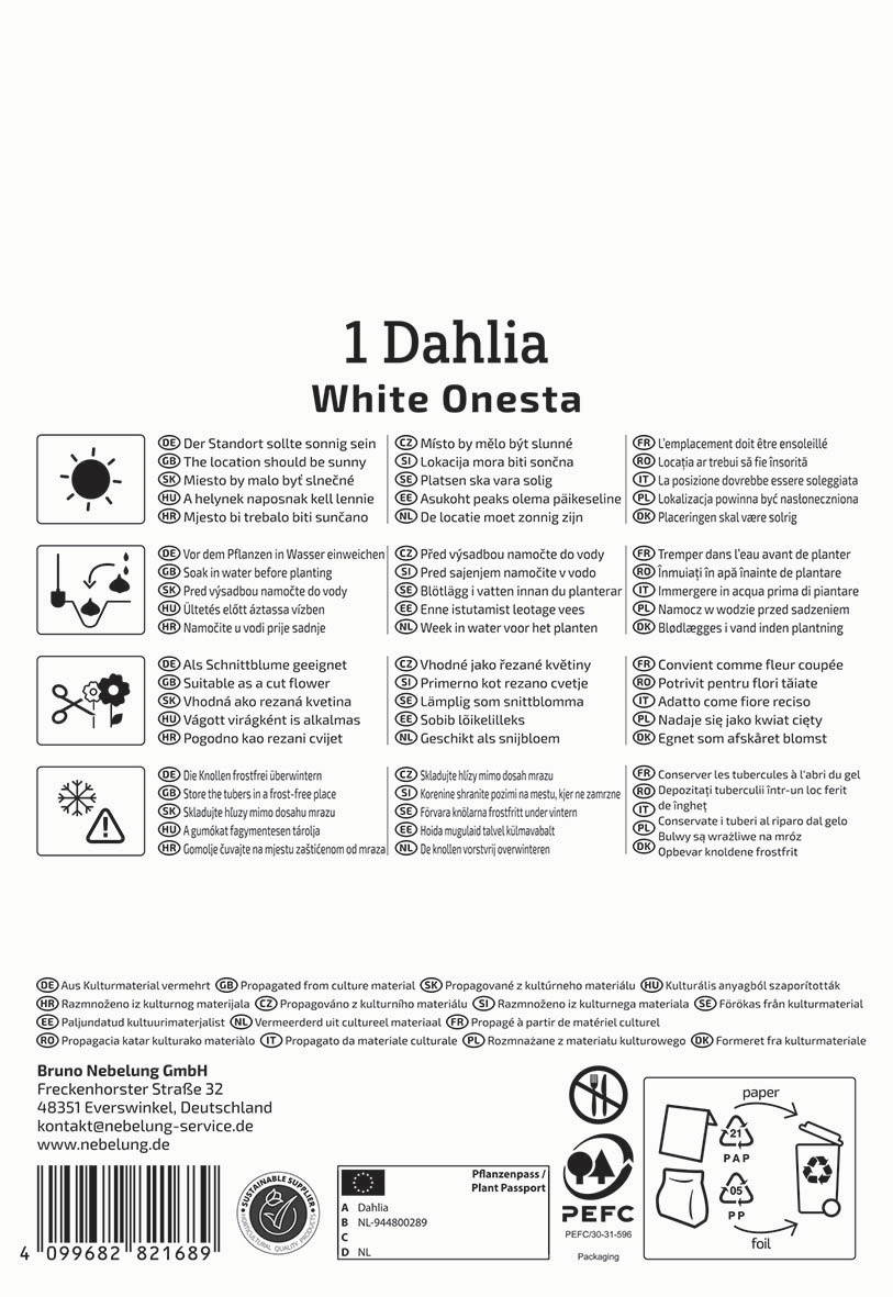 Anleitungsetikett mit Pflanzanweisungen, Symbole und Kontaktinformationen auf weißem Hintergrund.
