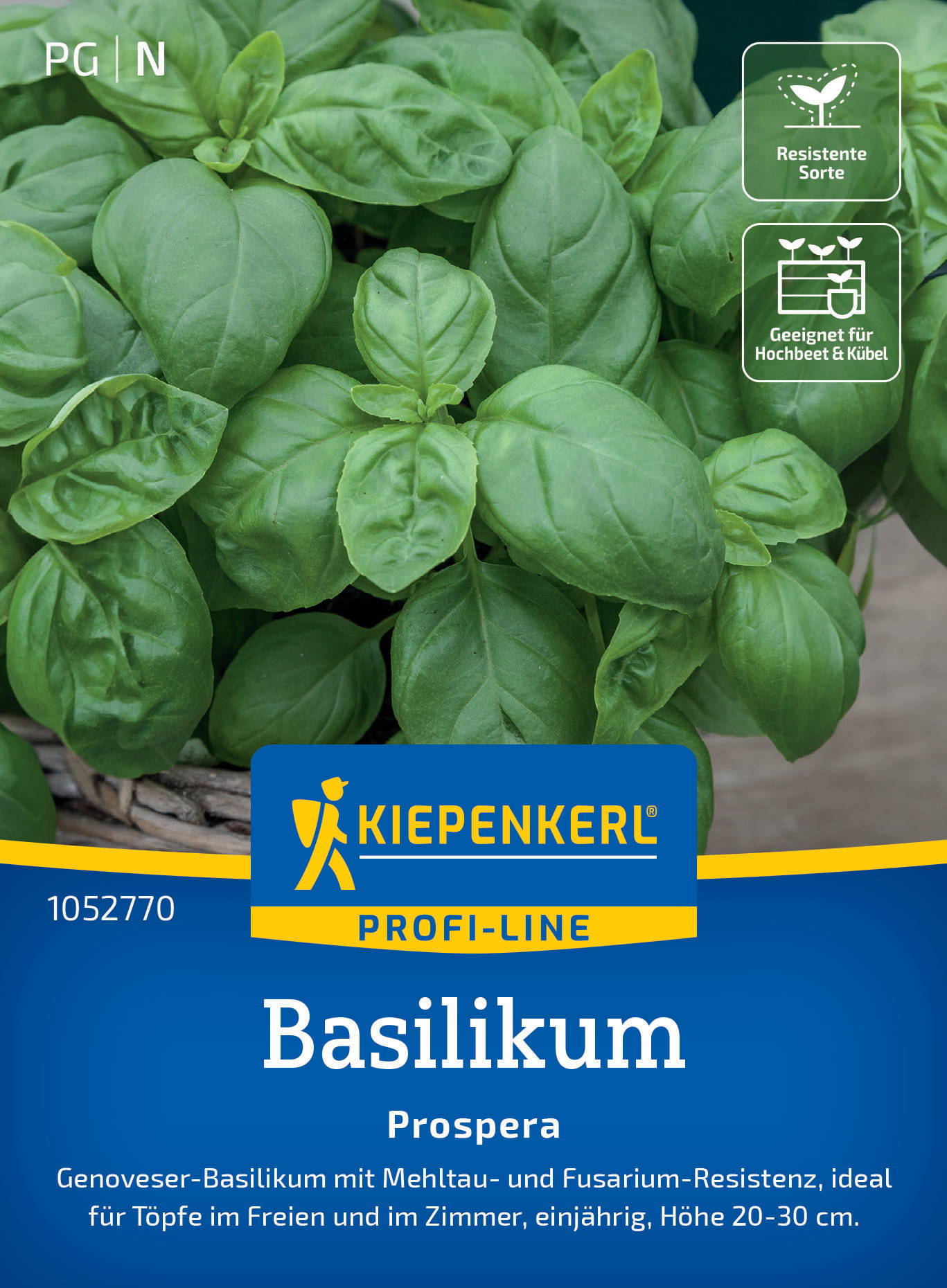 Basilikumsamen Prospera, F1