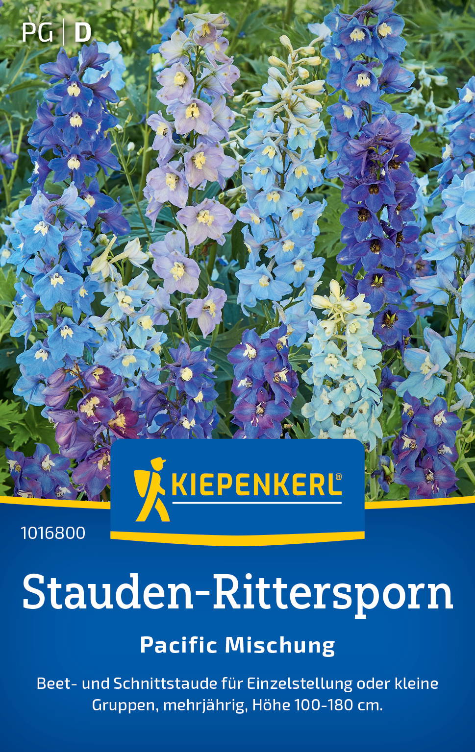 Bunte Stauden-Rittersporn in Blau- und Violetttönen vor grünem Laub.