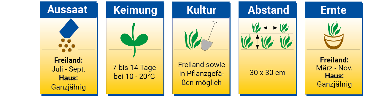 Samentabelle mit Anbau, Keimung, Kultur, Abstand und Ernte Angaben in deutscher Sprache.