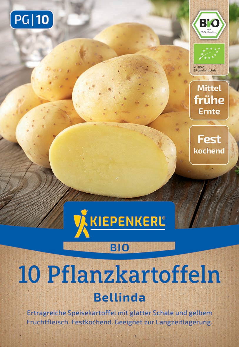 Haufen kleiner gelber Kartoffeln auf Holzuntergrund, eine halbierte Kartoffel zeigt das gelbe Fruchtfleisch.