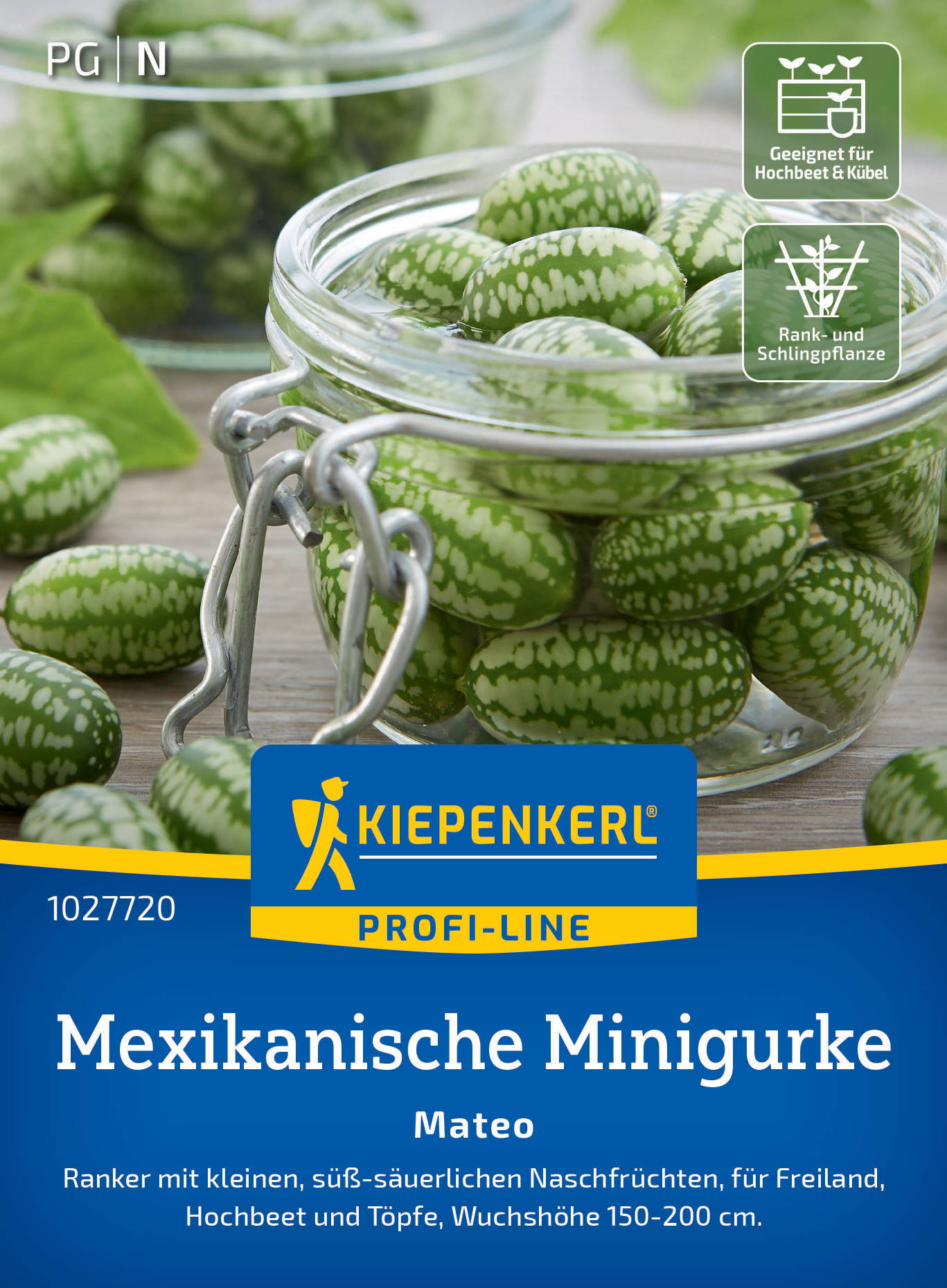 Mexikanische Minigurkensamen Mateo