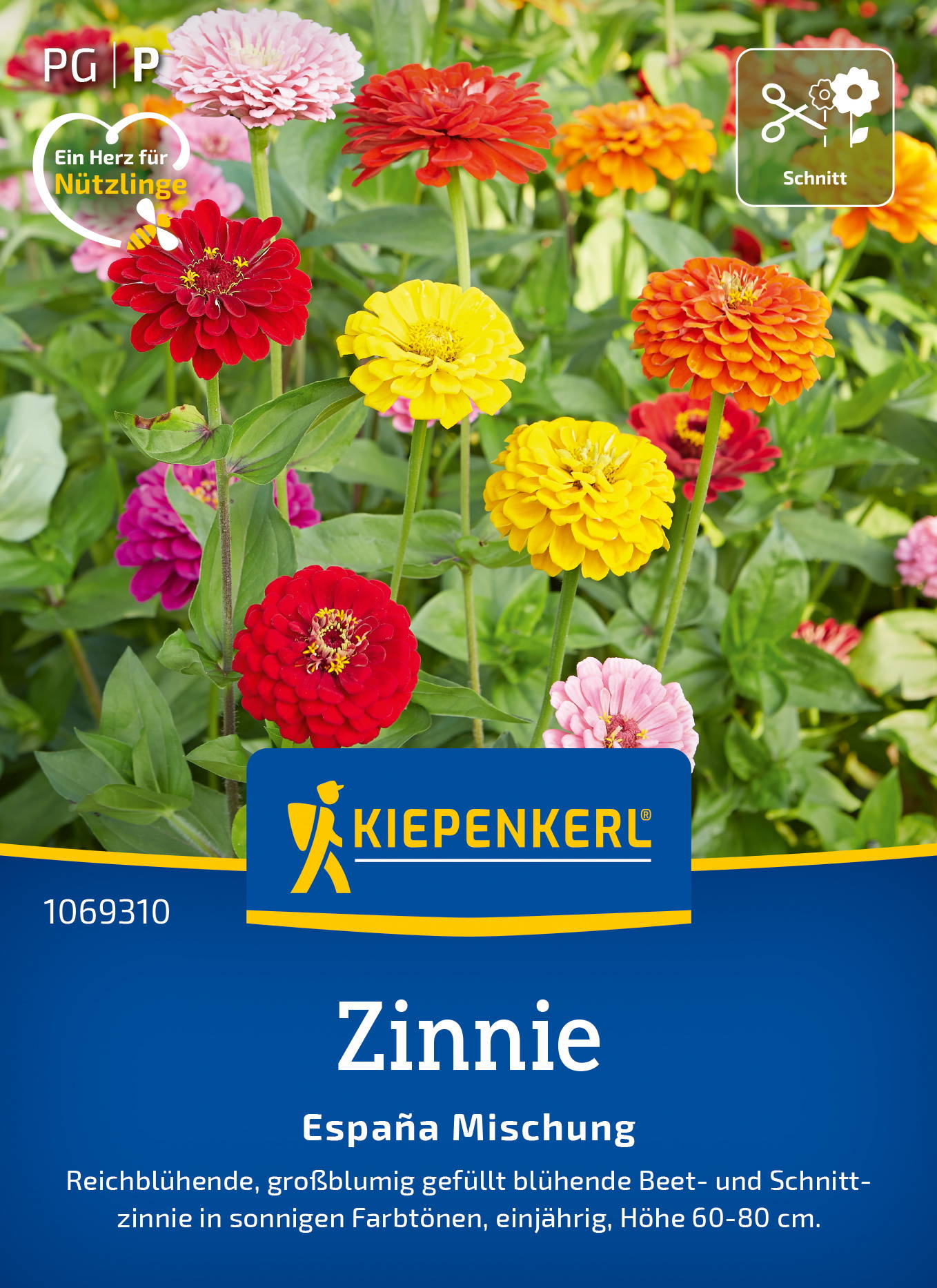 Zinniensamen Espana Mischung