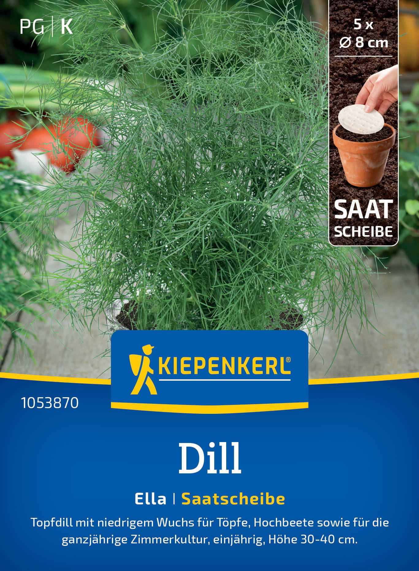Dillsamen Ella, Saatscheibe 